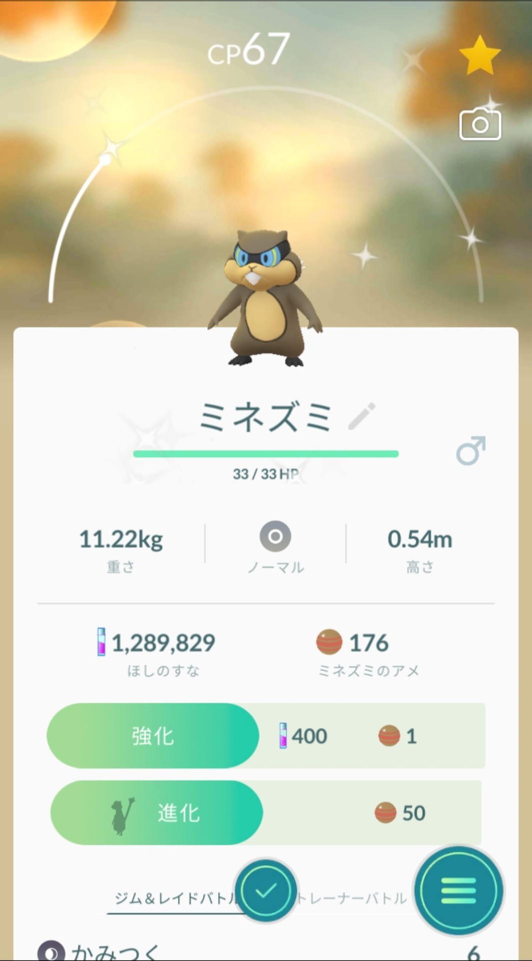 ポケモンgo 攻略日記127 色違いのミネズミ 27歳で札幌在住のゲーム大好きgirlのブログ